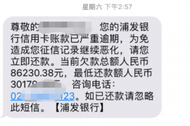 桂平企业清欠服务